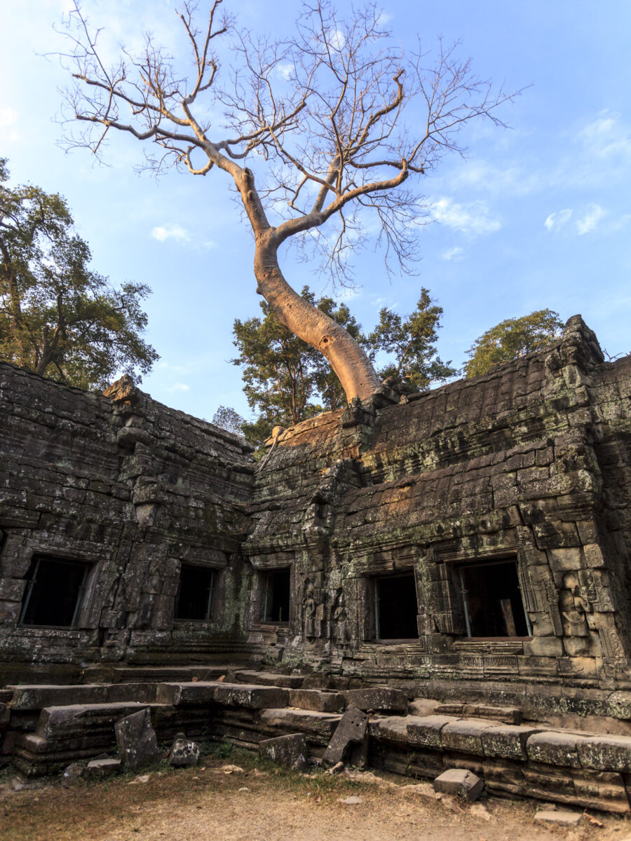Alan Dargie - Cambodia - Angkor Wat -2