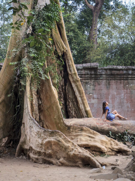 Alan Dargie - Cambodia - Angkor Wat -3