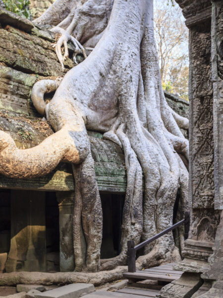 Alan Dargie - Cambodia - Angkor Wat -5
